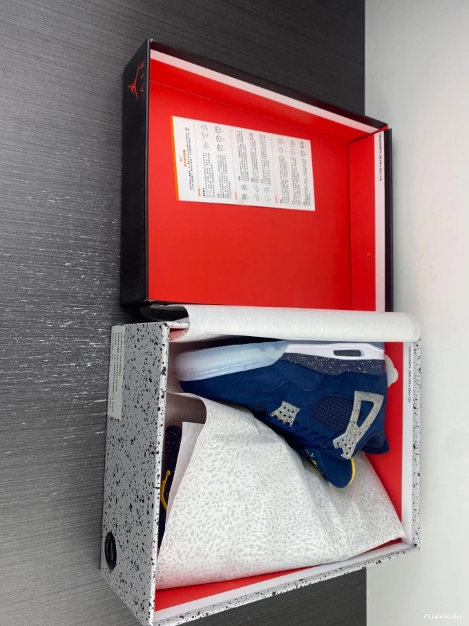 4 Michigan Jordan Air (PE) Retro AJ4-1036660 1209